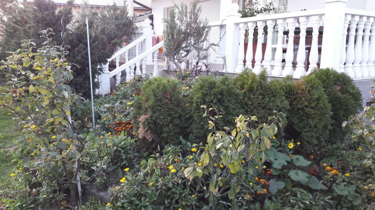 Leon'S Silberwald Appartement Strasshof an der Nordbahn Buitenkant foto